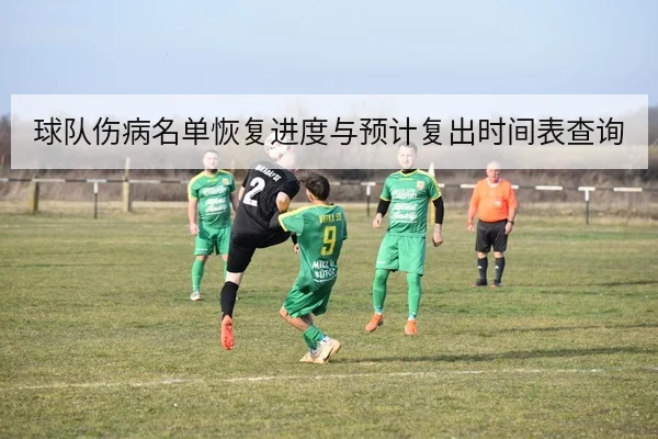 球队伤病名单恢复进度与预计复出时间表查询