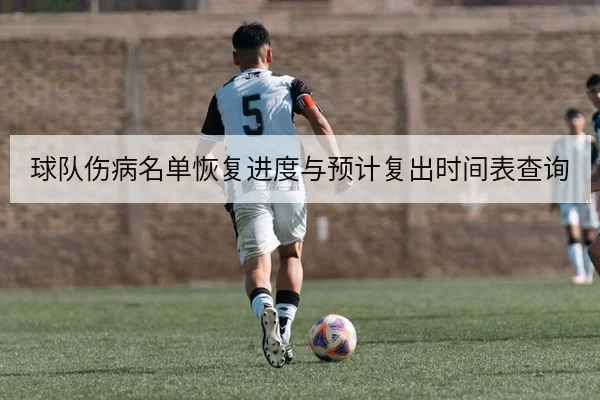 球队伤病名单恢复进度与预计复出时间表查询